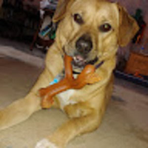 Meet your Posher, Gail